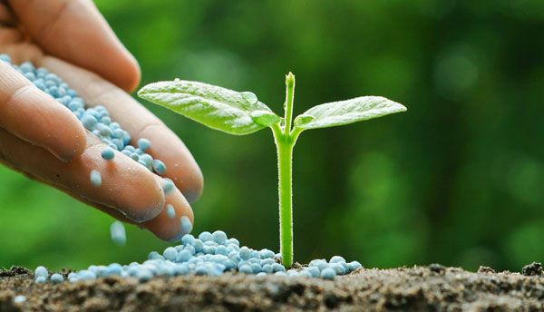 Adubos e fertilizantes — Abonos y Cereales Vallecillo