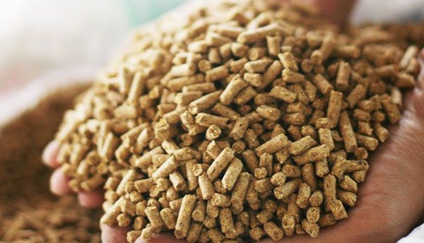 Rações para pecuária — Abonos y Cereales Vallecillo
