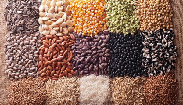 Sementes agrícolas — Abonos y Cereales Vallecillo